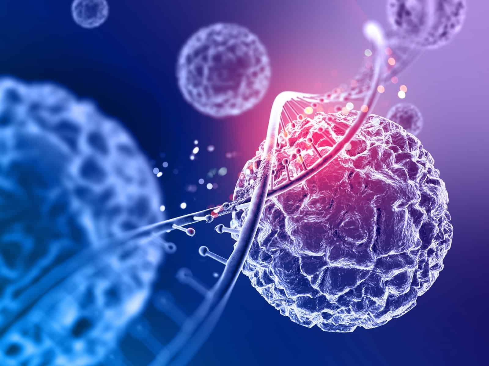 3D illustration of DNA strand and cellular biology — the science behind Polynucleotides and PDRN regenerative therapy